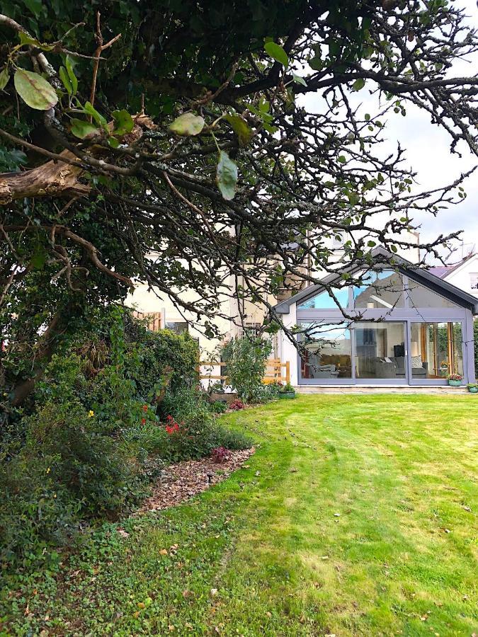 Dingle Garden Townhouse Bed & Breakfast Екстериор снимка The garden of the house